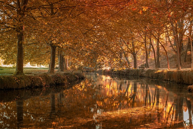 persona completando formulario de contacto en sitio web con enfoque de privacidad